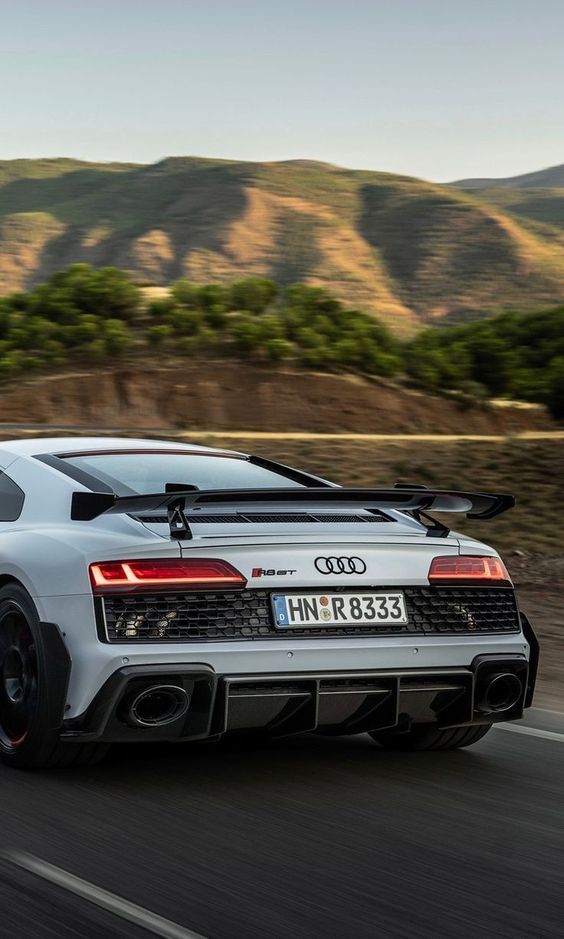 Performance Style Carbon Fiber Wing - Audi R8