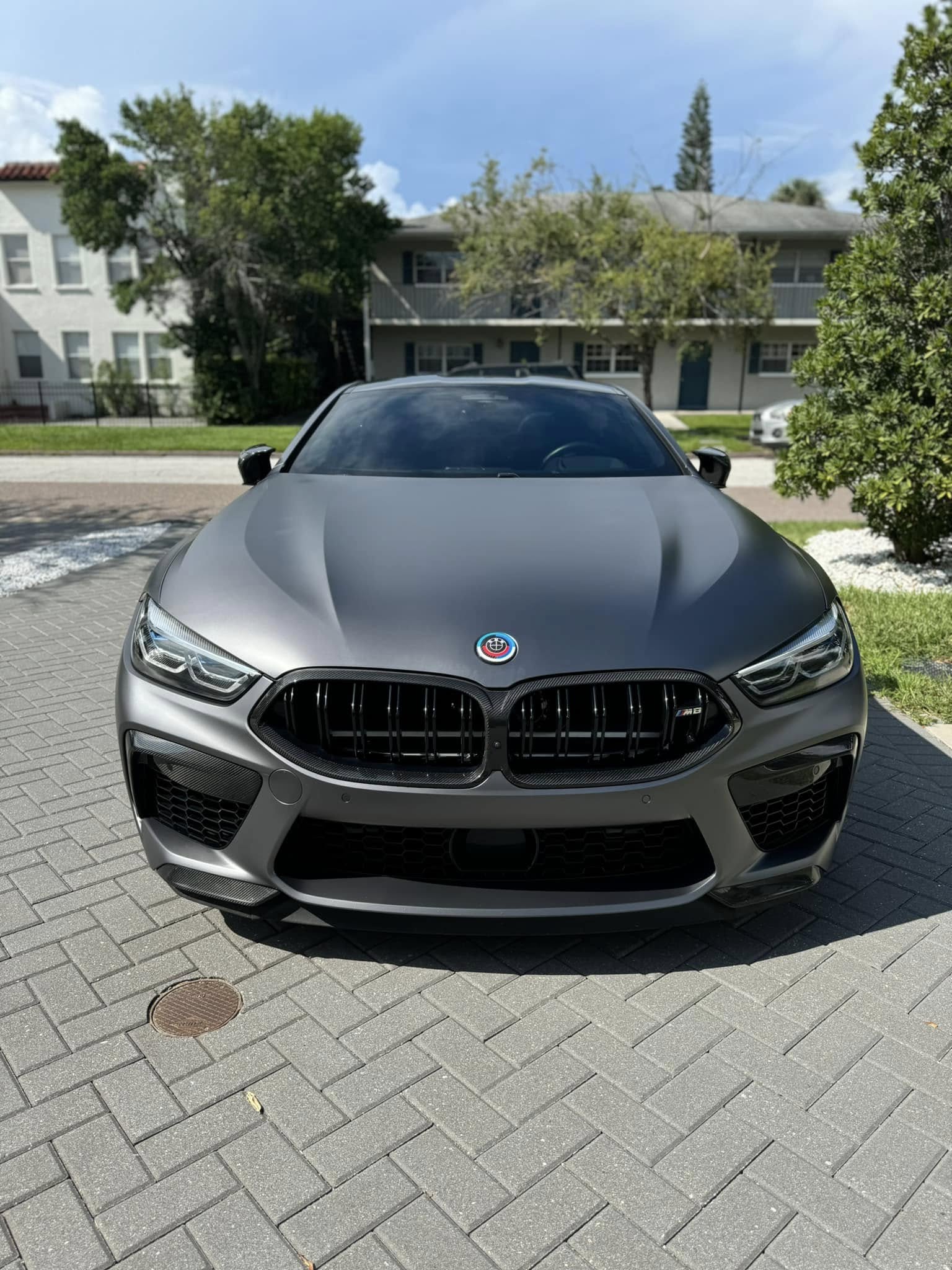 Carbon Fiber Dual Slat Grille - BMW F91 / F92 / F93 M8