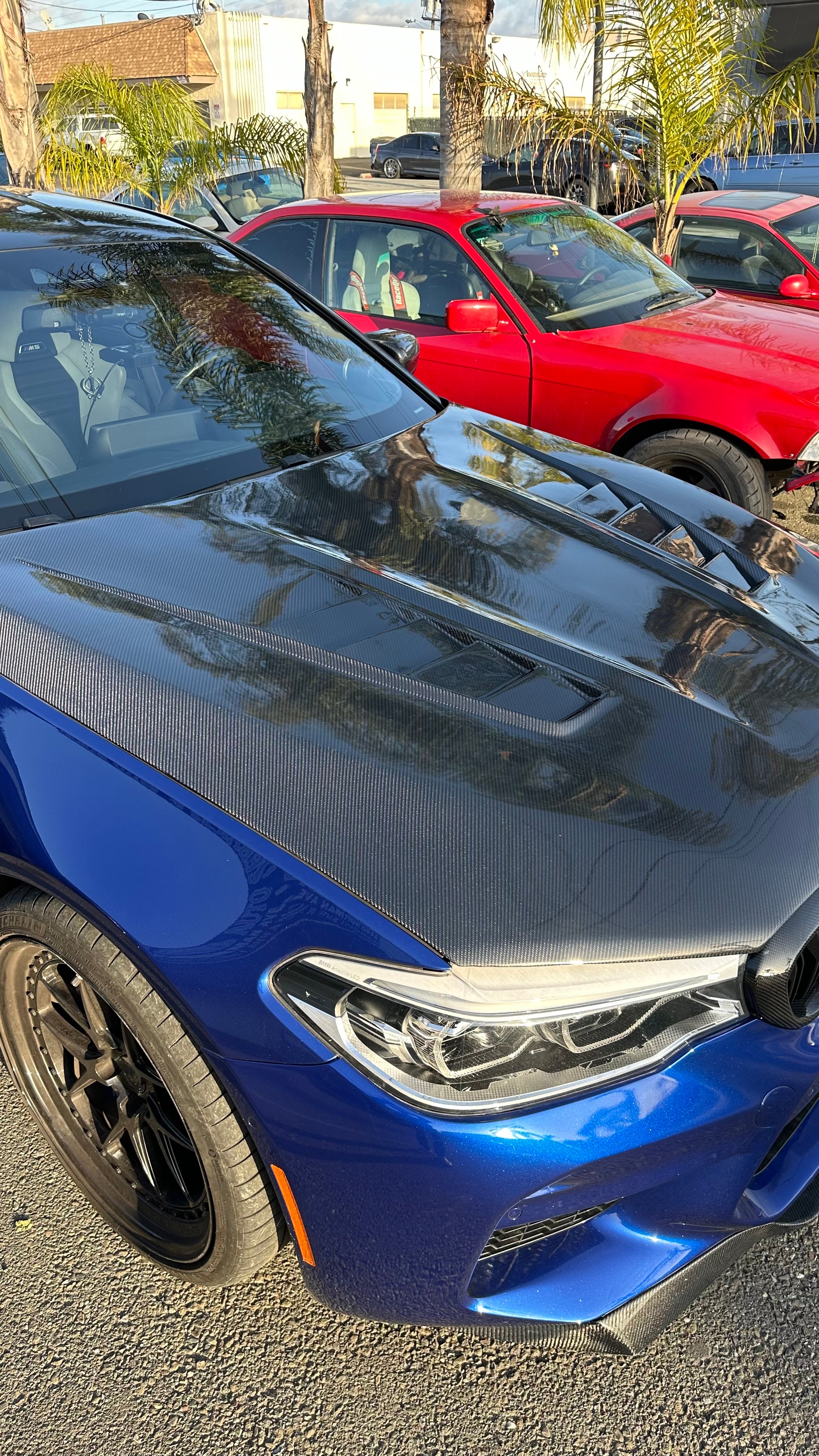 V Style Carbon Fiber Hood - BMW M5 F90