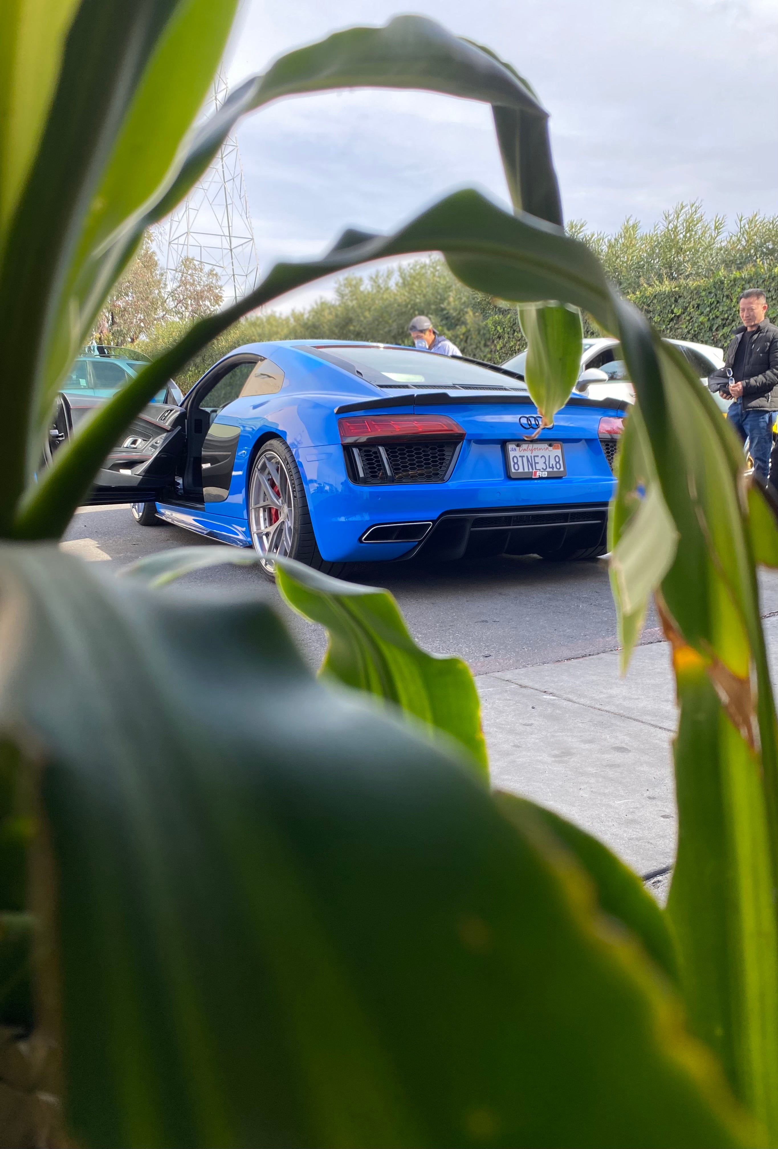 3 Piece Style Carbon Fiber Trunk Spoiler - Audi R8 V10 Type 4S