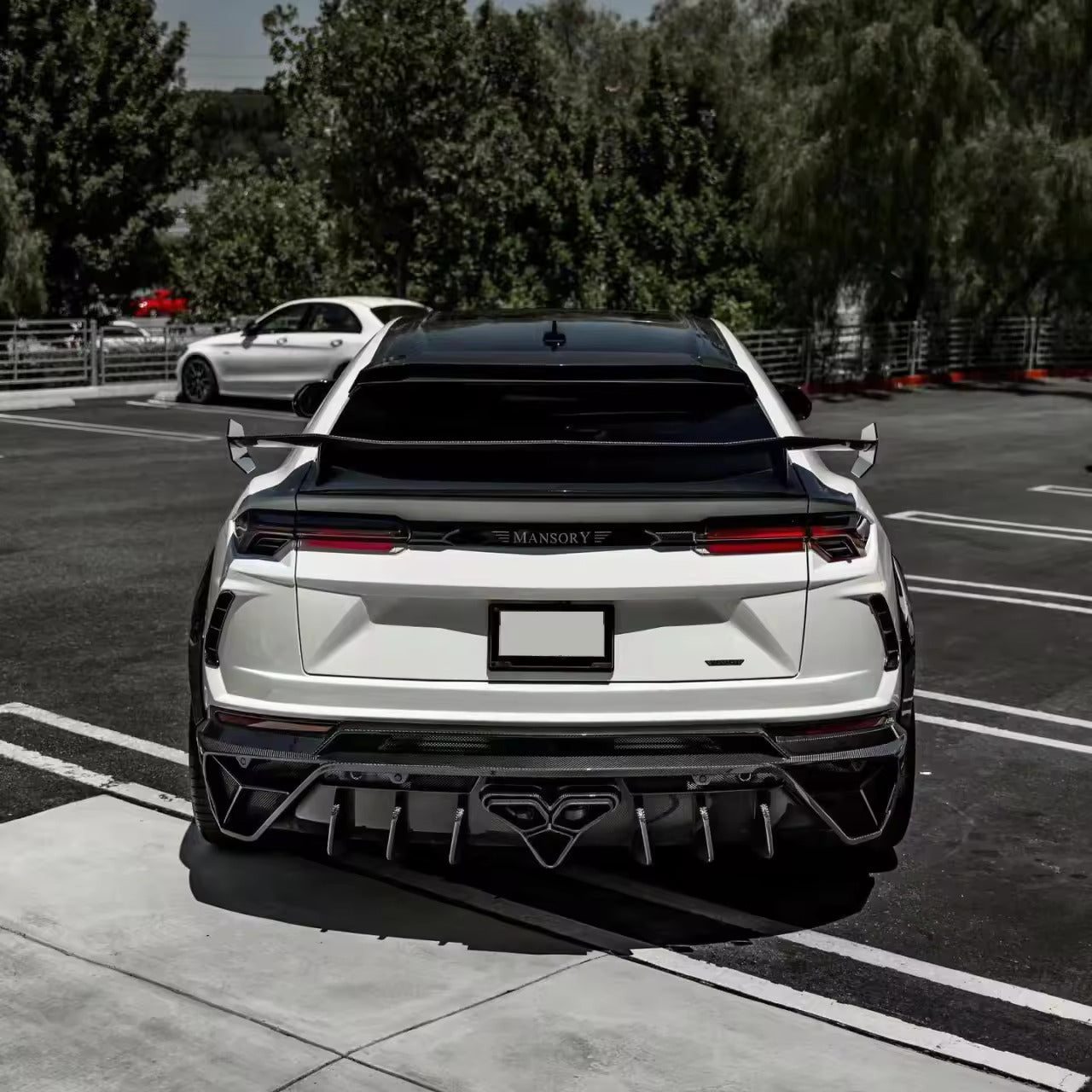 MSY Style Dry Carbon Fiber Rear Wing - Lamborghini Urus