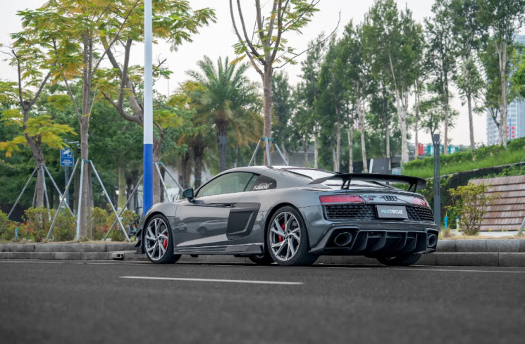 Paktechz Dry Carbon Fiber Side Blades -  Audi R8 Gen2